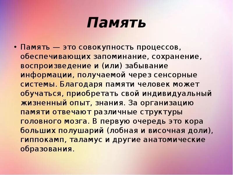 Память анатомия. Память физиология. Физиология памяти человека. Память анатомия кратко. Что дает человеку память