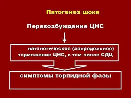Звенья патогенеза шока