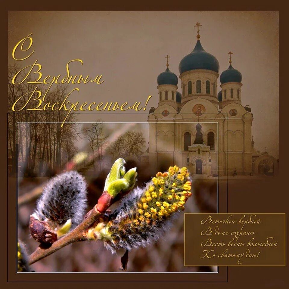 Вербное воскресение 23. С вербным воскресеньем. вербное воскресенье пожелания. с вербным воскресеньем открытки. поздравить с вербным воскресеньем.