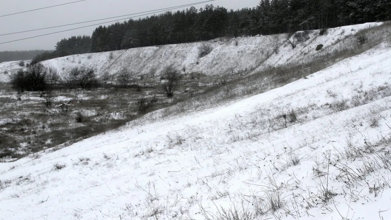 Камеры никольского. Микрорайон Никольское Воронеж. Село Никольское Воронеж. Школа 10 Никольское Воронеж. Никольское Воронеж фото.