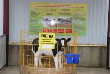 Новые комбикорма