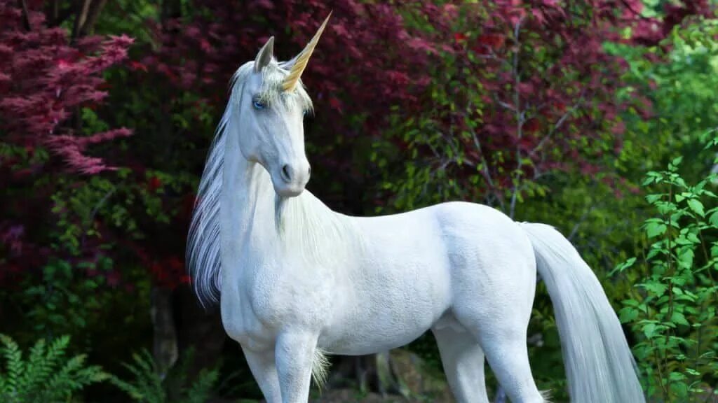 C unicorn. C unicorn