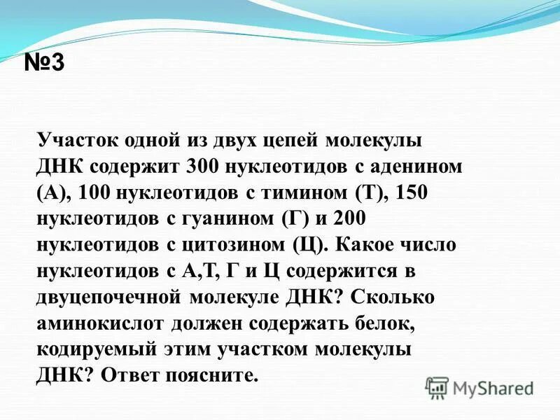 Адениновых нуклеотидов. Количество нуклеотидов в ДНК. Количество нуклеотидов в аминокислоте. Сколько типов нуклеотидов в ДНК. Сколько нуклеотидов содержит молекула ДНК.