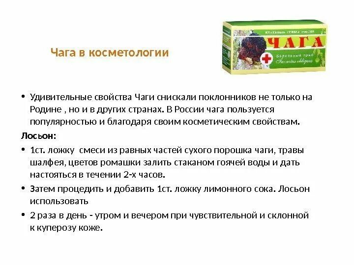 Качество чаги. Березовый гриб чага характеристика. Чага лекарственная. Чага лечебные св-ва. Противопоказания чаги березовой.