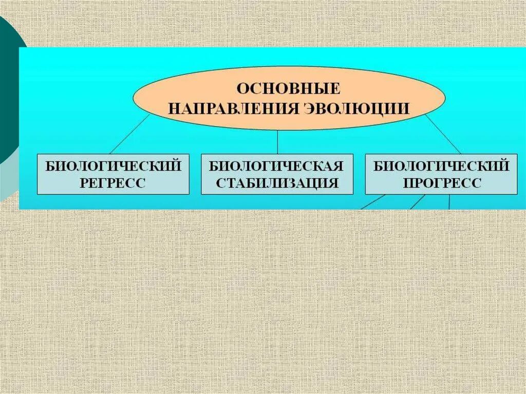 Направления эволюции биологическая стабилизация. Биологическая стабилизация и биологический регресс.. Биологическая стабилизация примеры. Биологический регресс Прогресс стабилизация.