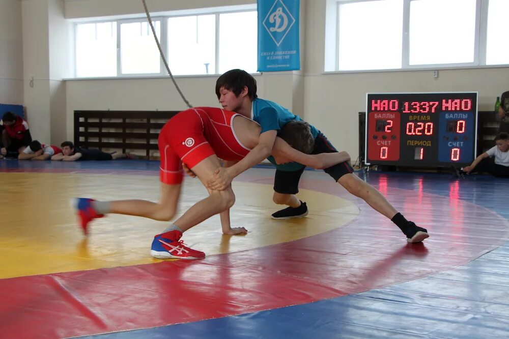 вольная и греко римская борьба. общественная борьба. греко римская борьба иркутск. борцы армении в клубе. александр карелин.
