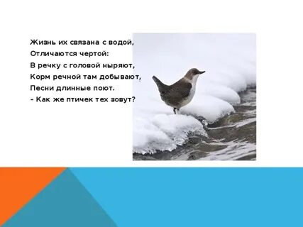 На распевала песенку снегу