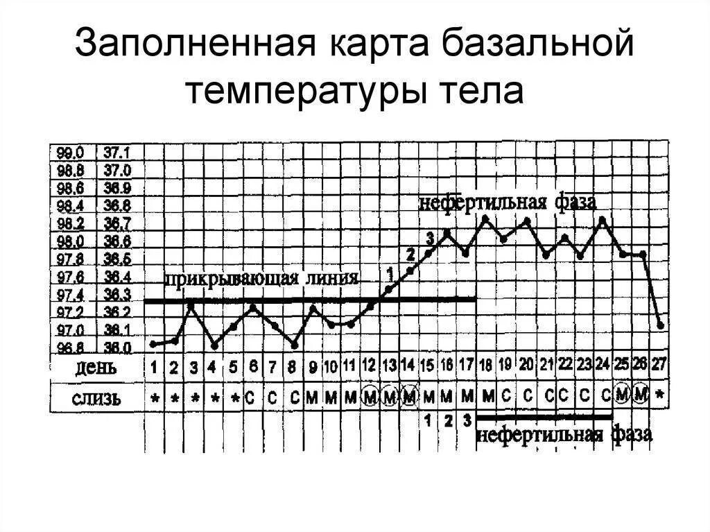 Температура второй фазы. График базальной температуры норма. Базальная температура при пременопаузе график. График Кривой базальной температуры. Базальная температура в менопаузе норма.
