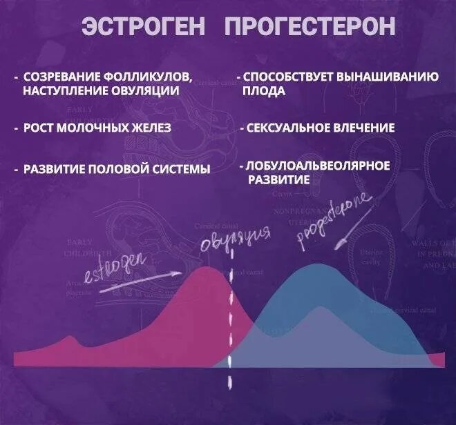 Эстроген и прогестерон. Эстрогены женские. Эстрогены прогестерон женские гормоны. Функции эстрогена и прогестерона. Нормализованный баланс