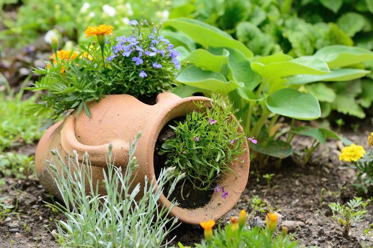 Tuintrends 2019 groene planten met bloemen in pa. #bloemen #groene #jardin.