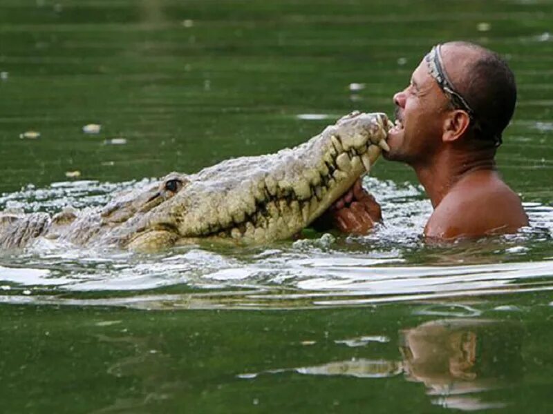 Гильберто седден крокодил почо. Рыбак чито и крокодил почо. Ручной крокодил. Мужчина крокодил. Лицо крокодила.