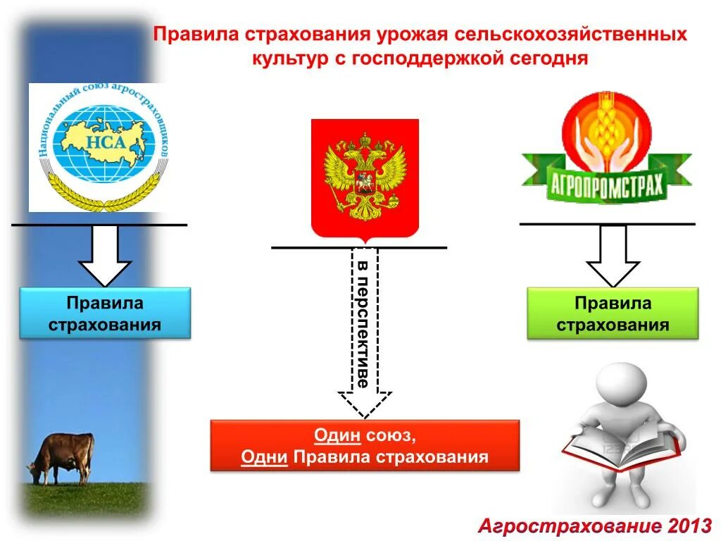 Правила страхования урожая. Страховые правила. Агрострахование с государственной поддержкой. Правила агрострахования.