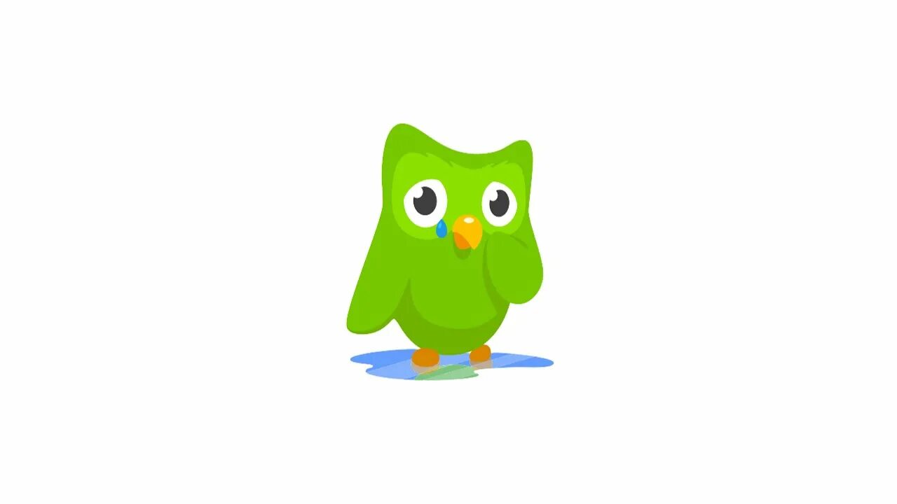 Дуолинго умер. Птичка Дуолинго. Птица из Дуолинго. Duolingo мемы. Совёнок из Duolingo.