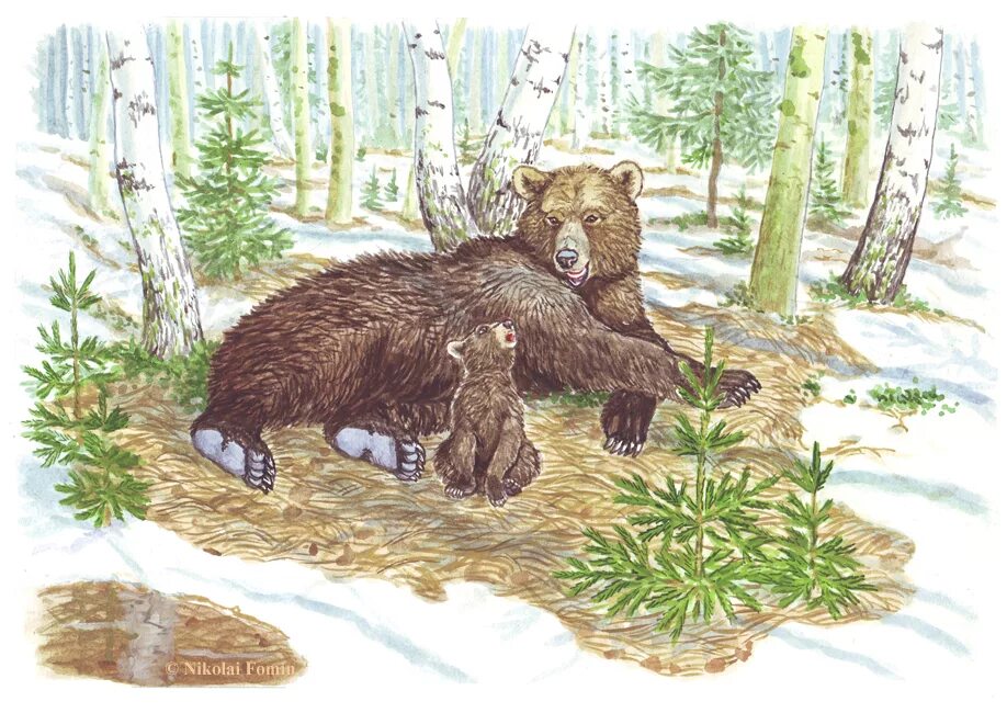 Дикие животные весной для детей. Медведи весной для дошкольников. Животные весной для детского сада. Весенний лес с животными для детей. Медведь для детей в детском саду.