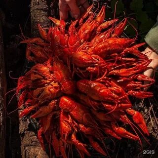 Раки и клешни