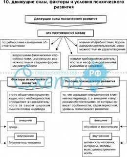 Факторы и движущие силы развития личности