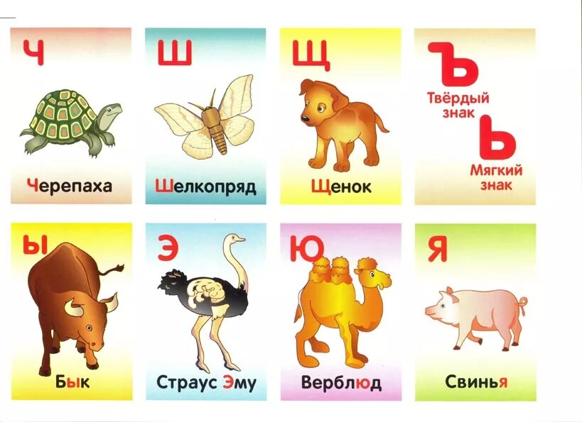 Животные на букву к. Алфавит с животными для детей. Карточки. Азбука в картинках. Животные по алфавиту для детей. Азбука в картинках животные.