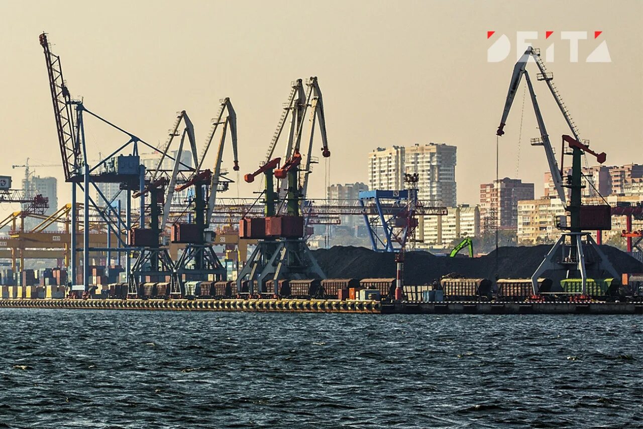 Торговый порт Владивосток. Владивостокский морской торговый порт. Морской порт дальнего Востока. ВМТП Владивосток.