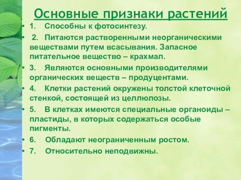 Признаки растений. Основные признаки растений. Основные признаки раст. Очновны призан растений. 5 основных признаков растений