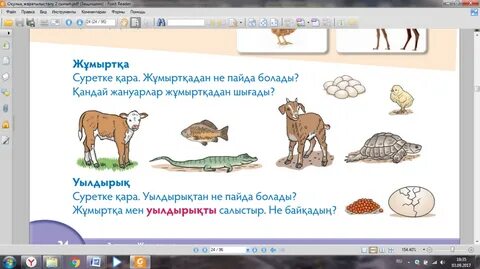 Жезөкше қайдан табуға болады