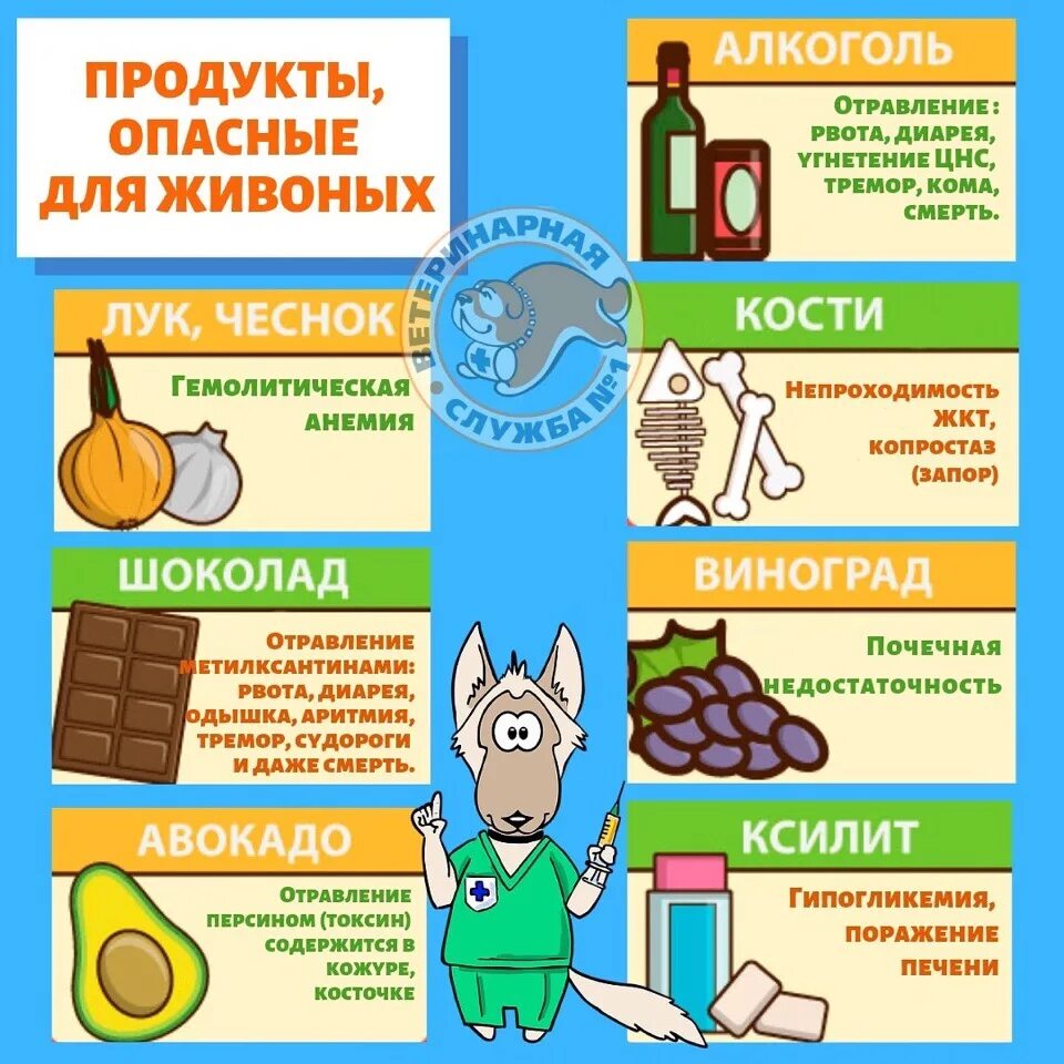 Слабительное продукты для кишечника. Что завязывает понос продукты. Продукты вызывающие понос. Продукты провоцирующие понос. Продукты которые вызывают рвоту.