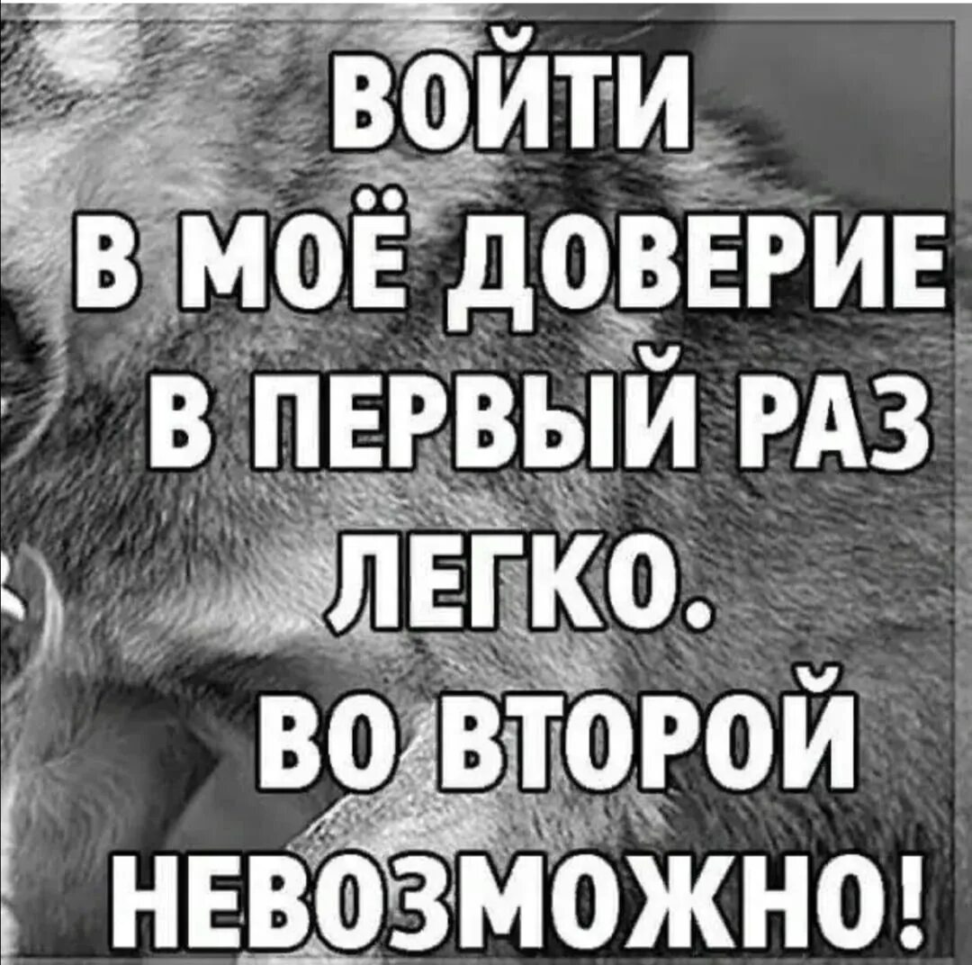 Войти в мое доверие легко. Дмоё доверие второй рвщ. Вышел из доверия