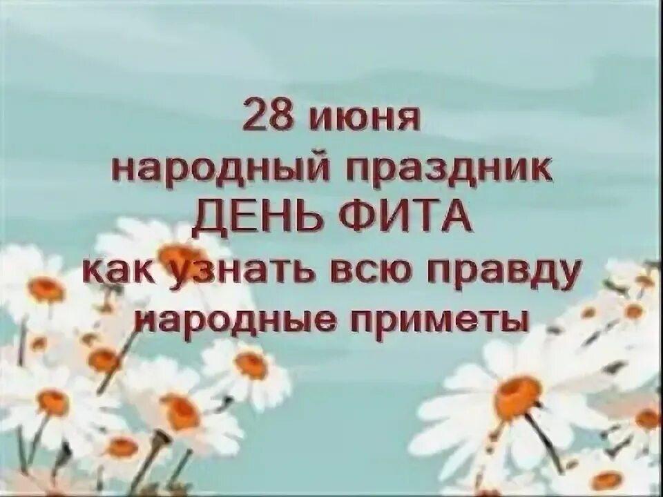 День фита 28 июня. День фита 28 июня картинки с надписями. День фита и амоса. Народный праздник день фита. Народный календарь июнь.