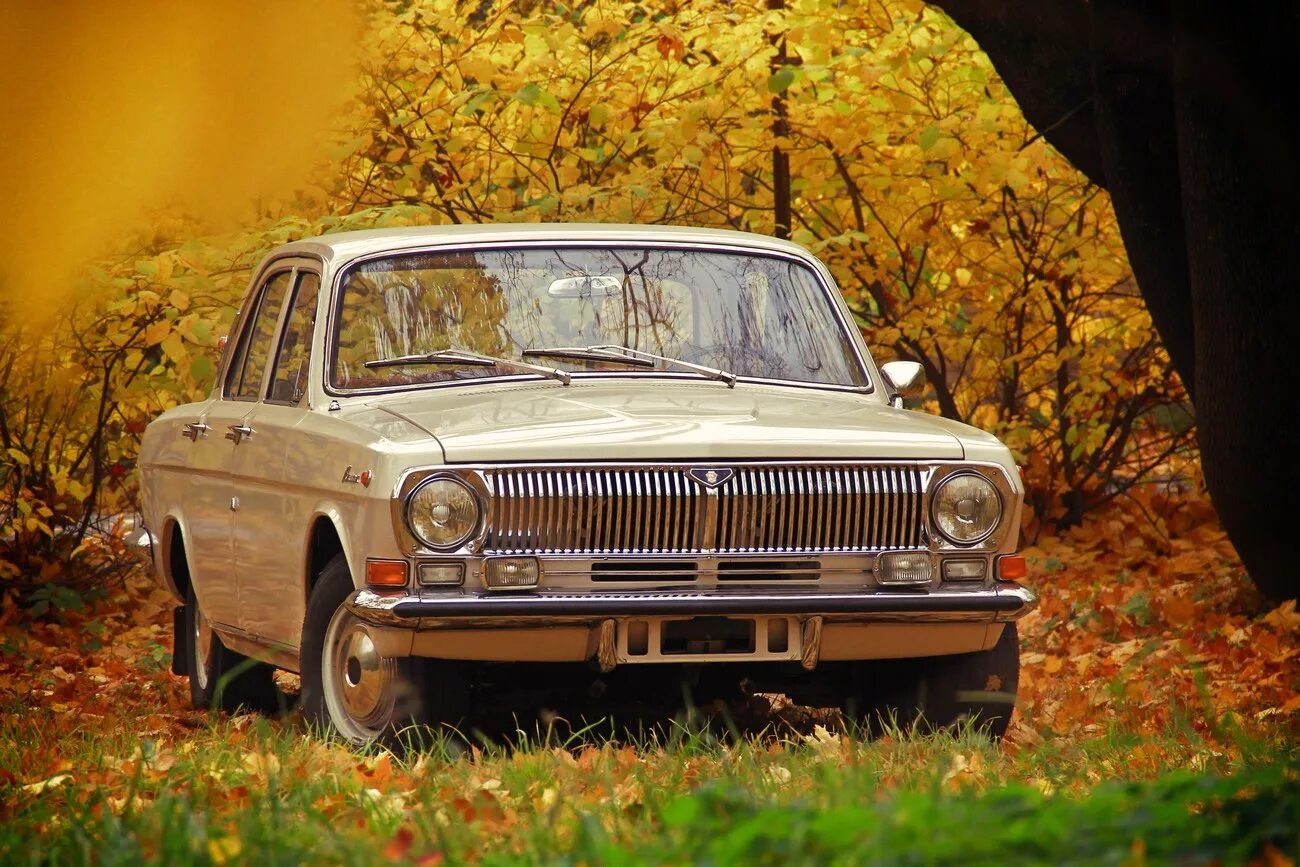 Газ 2404. Газ. Газ 24 volga. Волга газ 24. Волга газ 23 кгб.