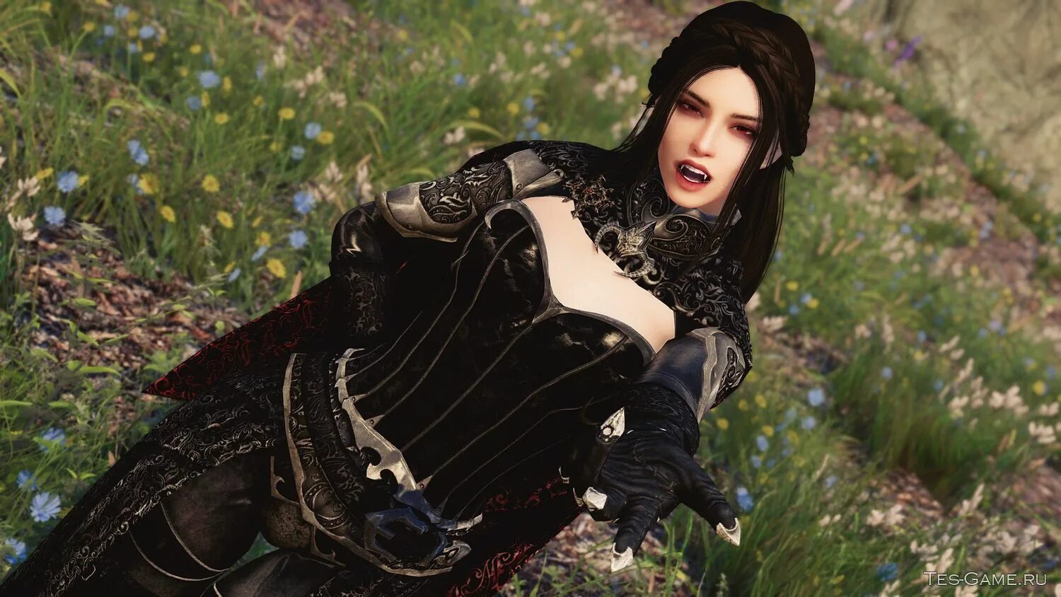 Skyrim модов 18