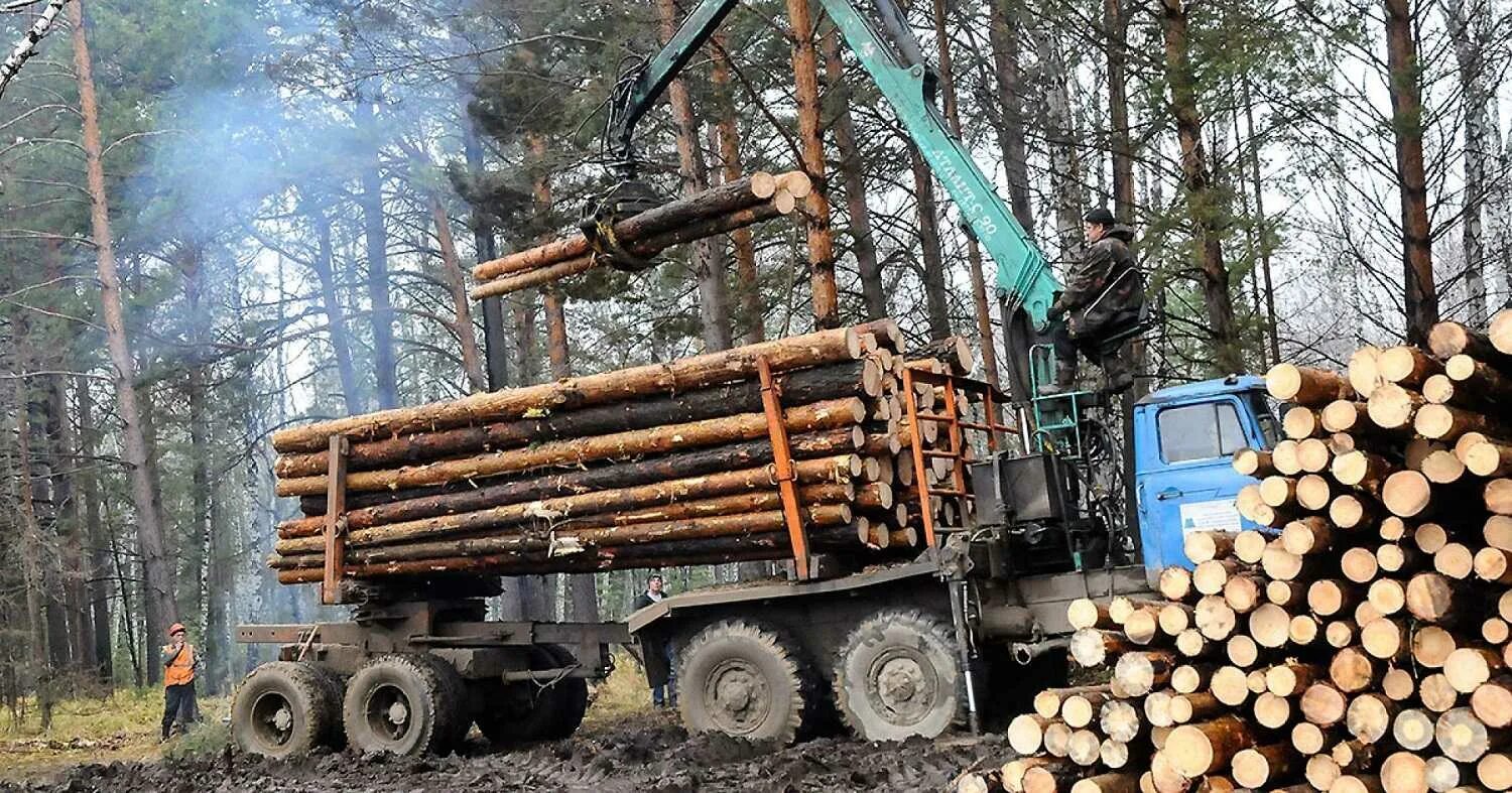 Лпк лесной промышленности. Лесная промышленность хабаровского края. Лесопромышленный комплекс древесина. Лес лесное хозяйство лесная промышленность. Форвардер ponsse buffalo.