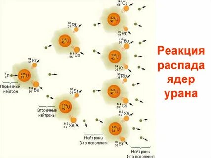 Цепные реакции деления тяжелых ядер