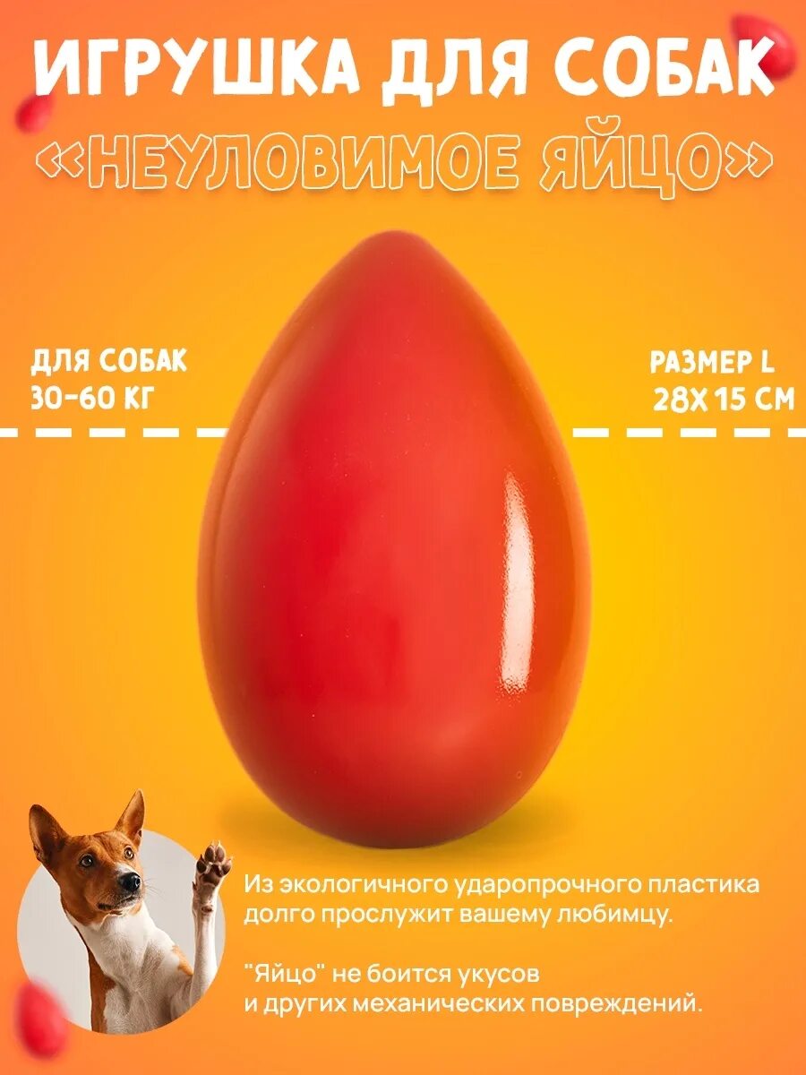 Jolly egg от компании jolly pets. Неуловимое яйцо. Неуловимое яйцо для собак. Jw игрушки для собак яйцо. Неуловимое яйцо для собак.