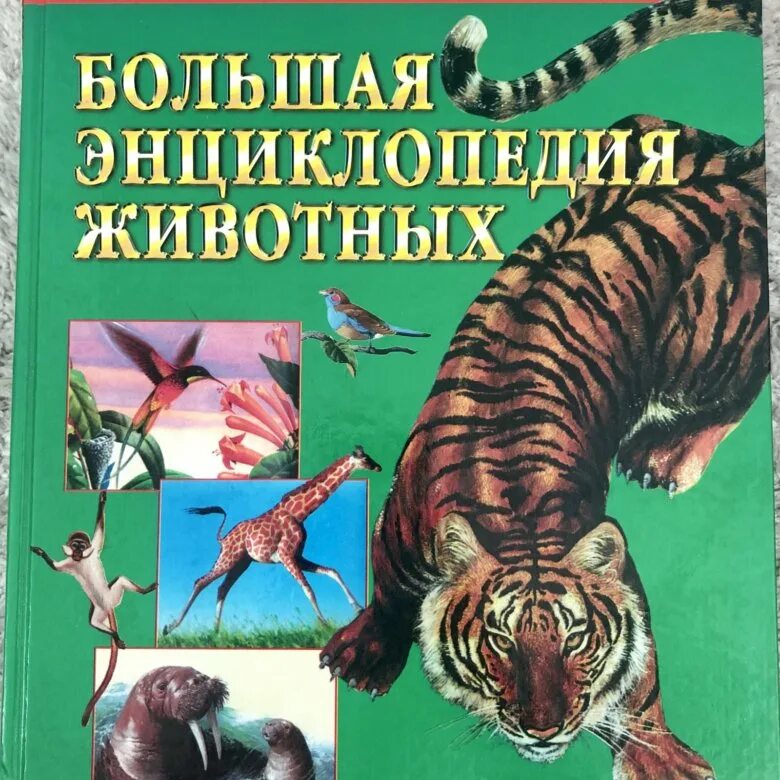 Российская политическая энциклопедия. Энциклопедия групп. Малая энциклопедия. Советская энциклопедия. Региональные энциклопедии книги.