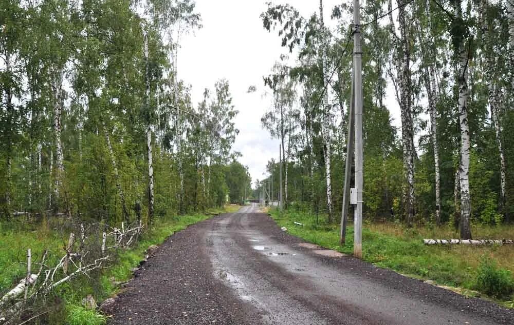 березовая аллея кумыска. поселок березовая роща новорязанское шоссе. клязьминский парк коттеджный поселок схема. коттеджный посёлок берёзовый парк-2. березовый парк 3.
