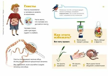 Симптомы глистов у ребенка 1