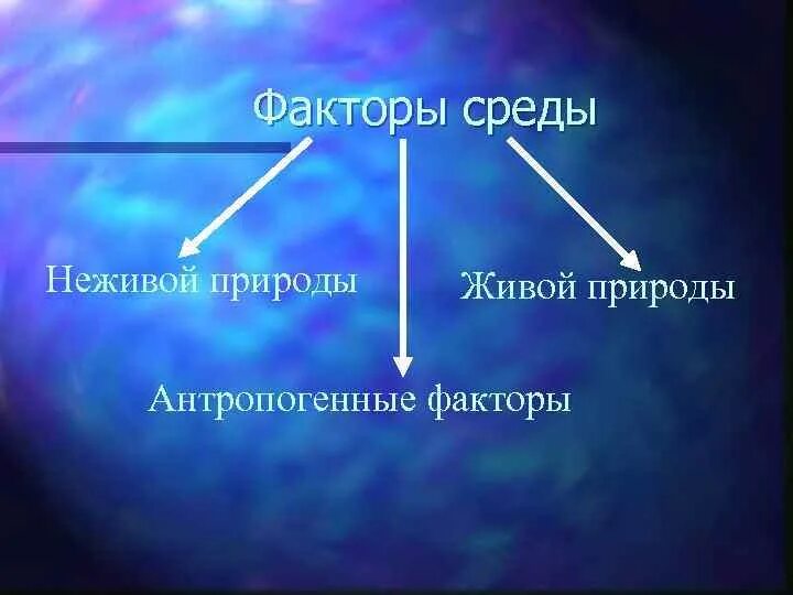 Факторы среды не жтвой природы. Факторы среды неживой природы. Факторы неживой природы, природы, антропогенные. Фактор живой и неживой природы, антропоген.. Определи факторы неживой природы выбери