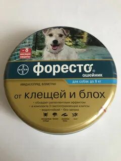 Форесто