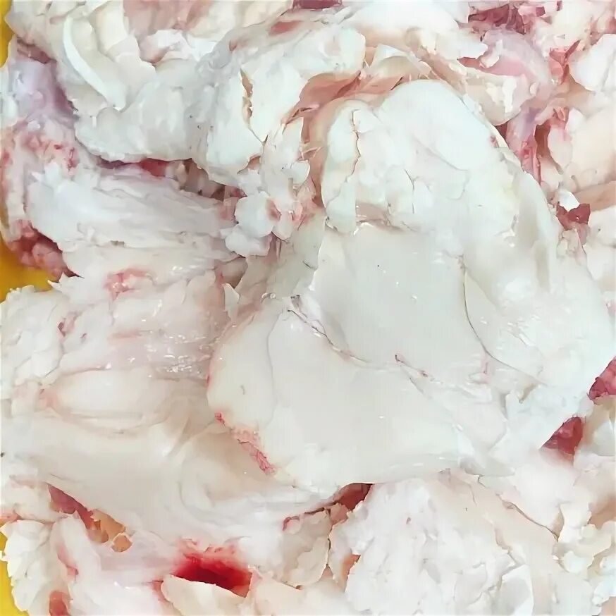 Жир топленый пищевой свиной. Запрещенные продукты для собак. Норма питания для щенка пуделя сухим кормом. Говяжий жир можно давать собаке. Говяжий жир можно давать собаке.