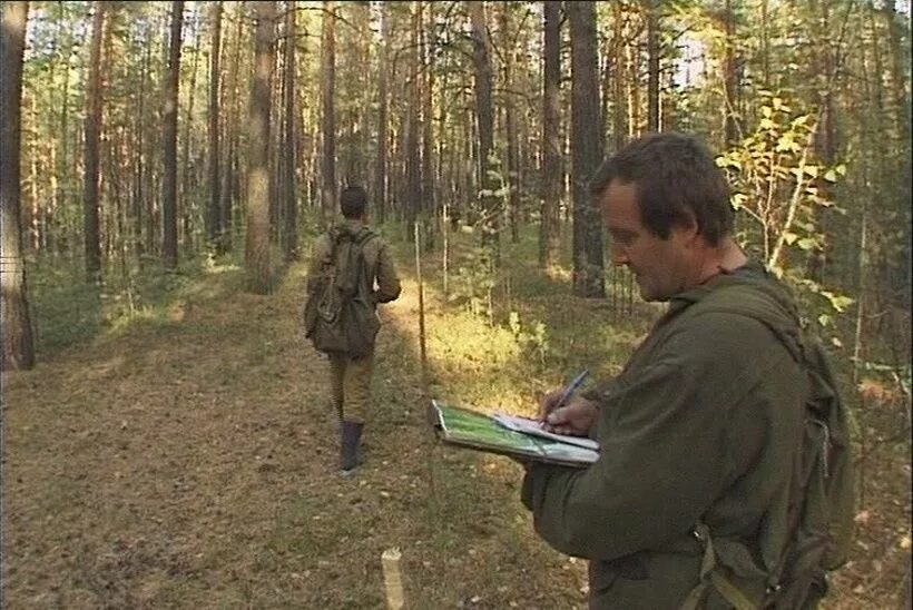 Сторож деревьев. Егерь Лесник. Лесная охрана Лесники. Профессия Егерь лесничий охотовед.