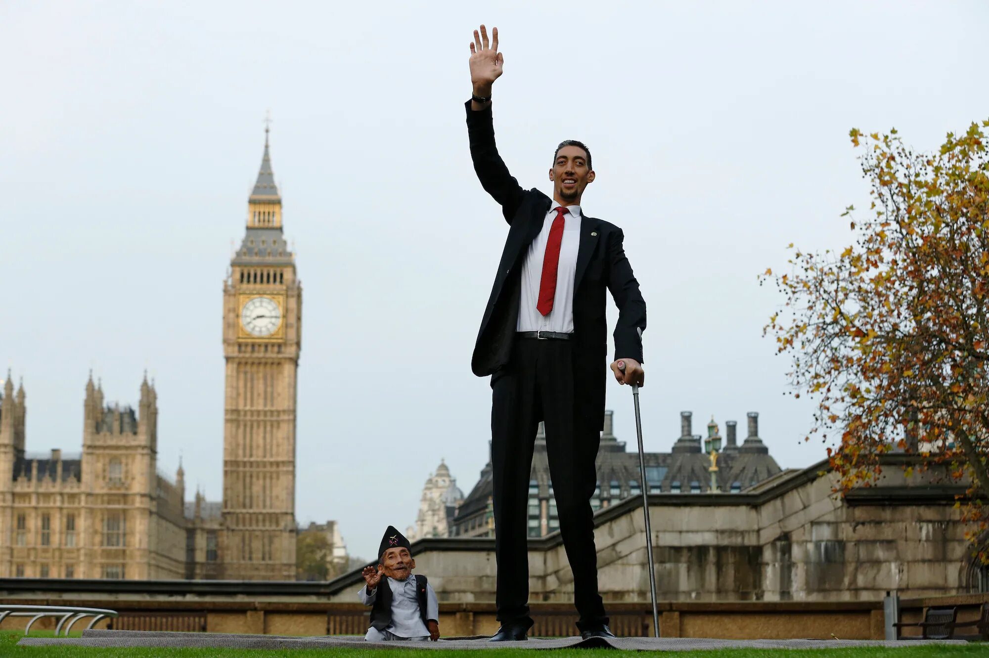 The tallest in the room. The tallest in the room