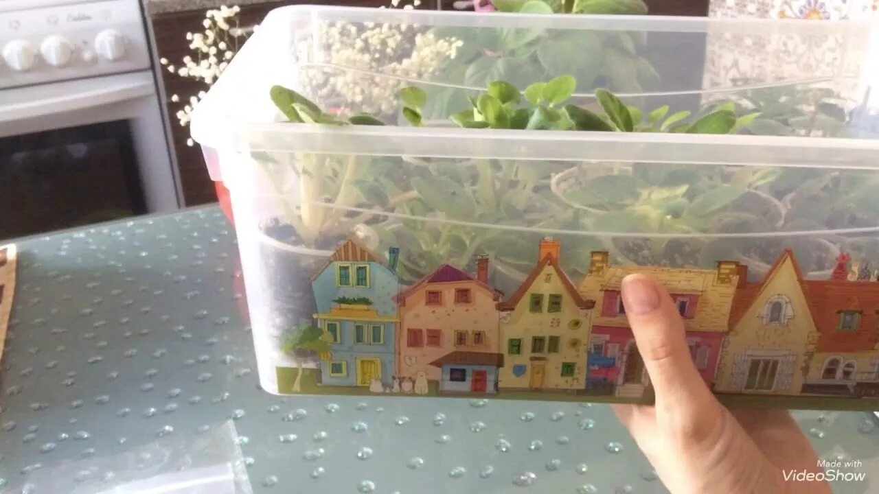 Фикс прайс цветочные горшки. Горшки для комнатных растений в фикспрайсе. Крем для лица фикс прайс. Набор инструментов для комнатных растений. Fix price горшок для цветов.