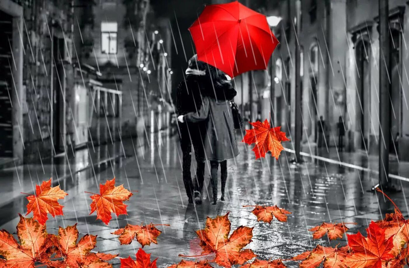 Бывают осенние ночи оглохшие. Осень любовь. Осенний дождь. Осень дождь. Осень дождь любовь.