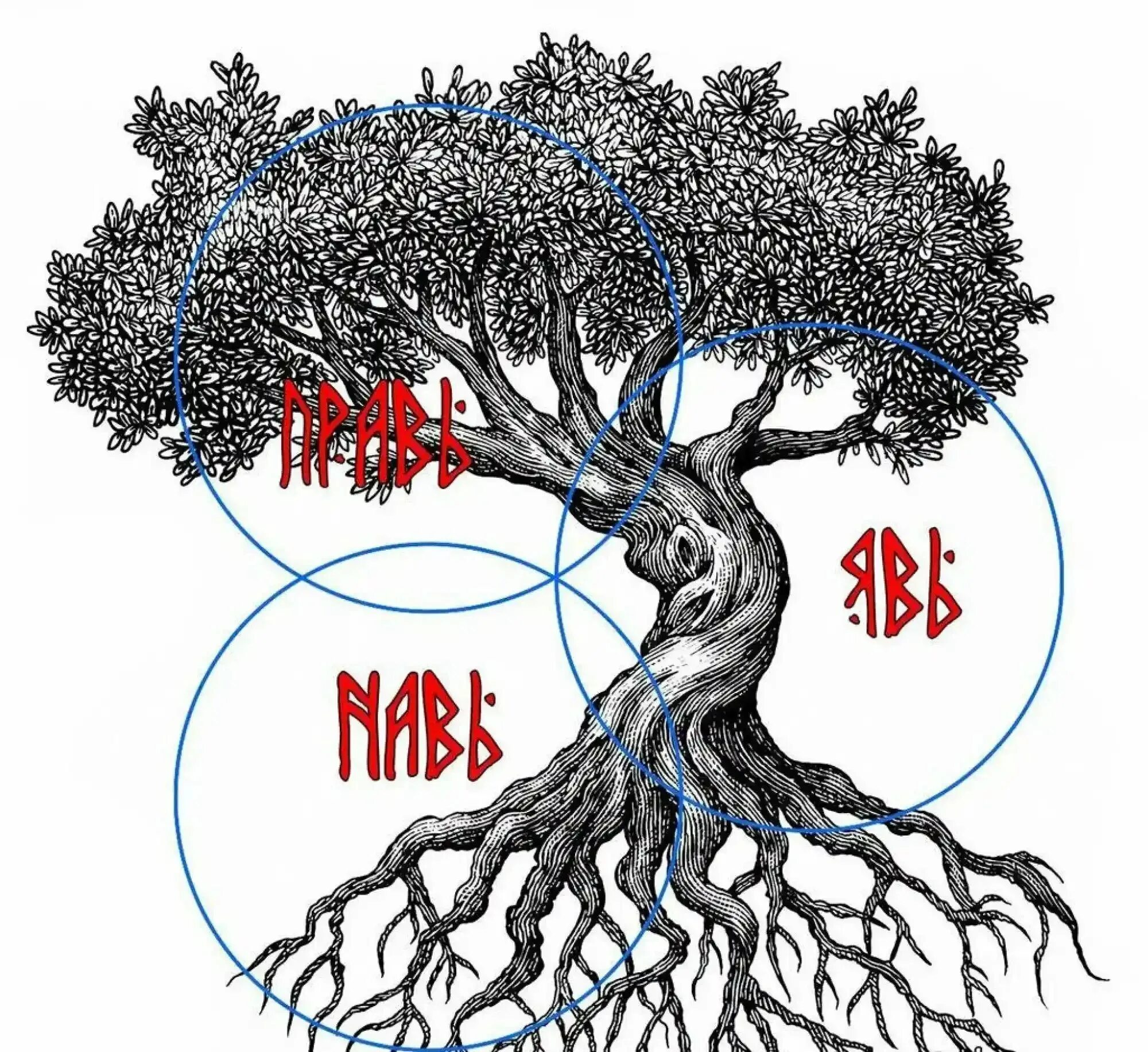 мир нави у славян. магия славян. боги нави. мир нави у славян. явь навь правь.