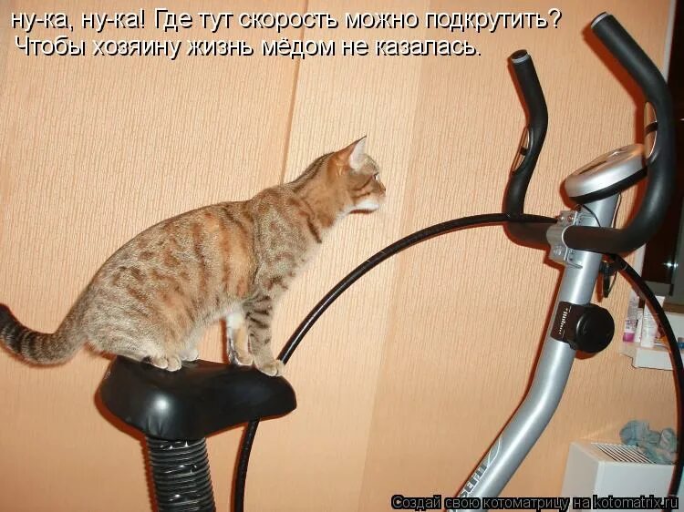Чтобы жизнь медом не казалась