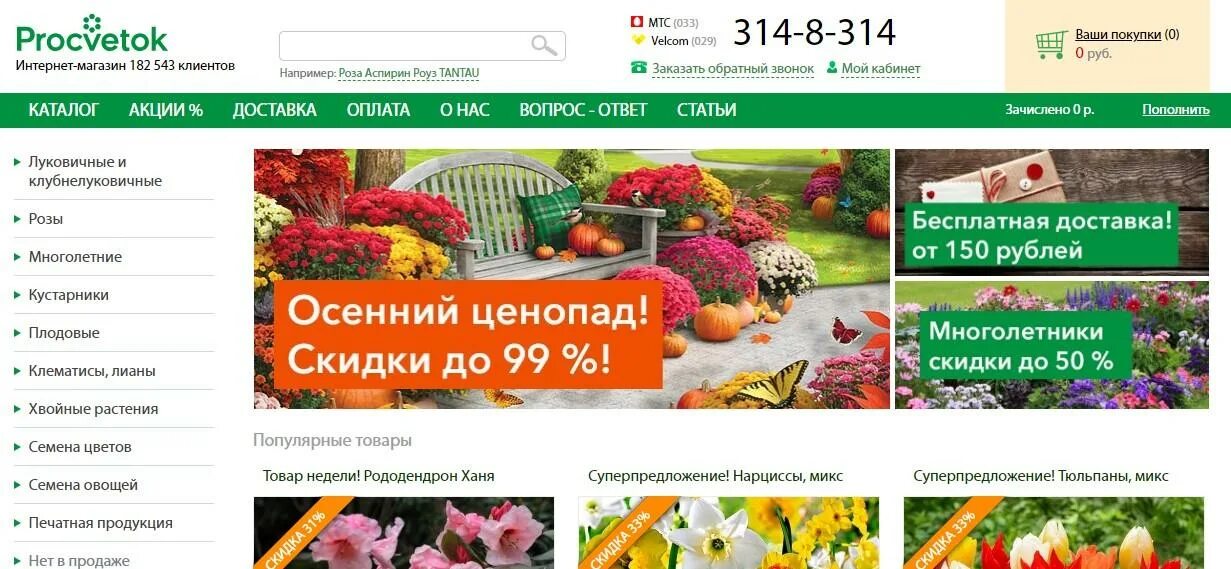 Процветок бай фото - Arhids.ru