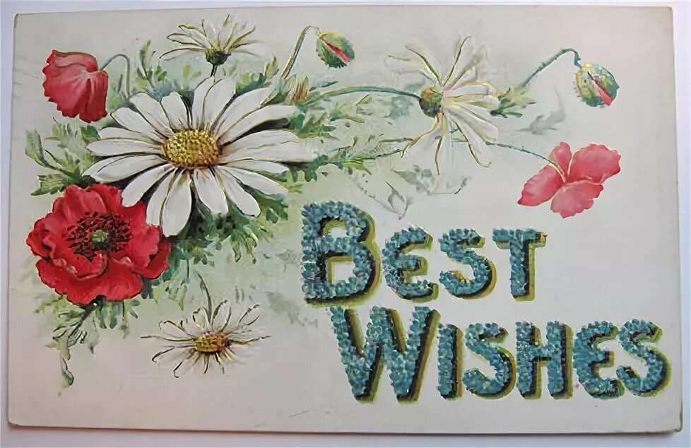 With best wishes. Best wishes магазин. Best wishes магазин. Best wishes фирма. Best wishes.