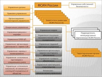 Федеральная служба исполнения наказаний правоохранительные органы