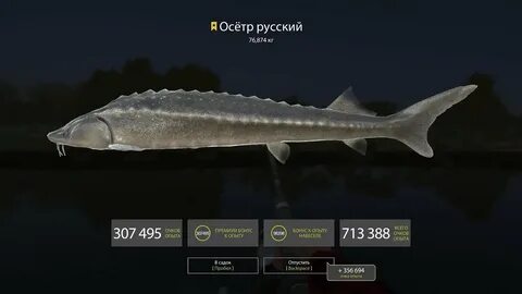 Рыбные места рр4