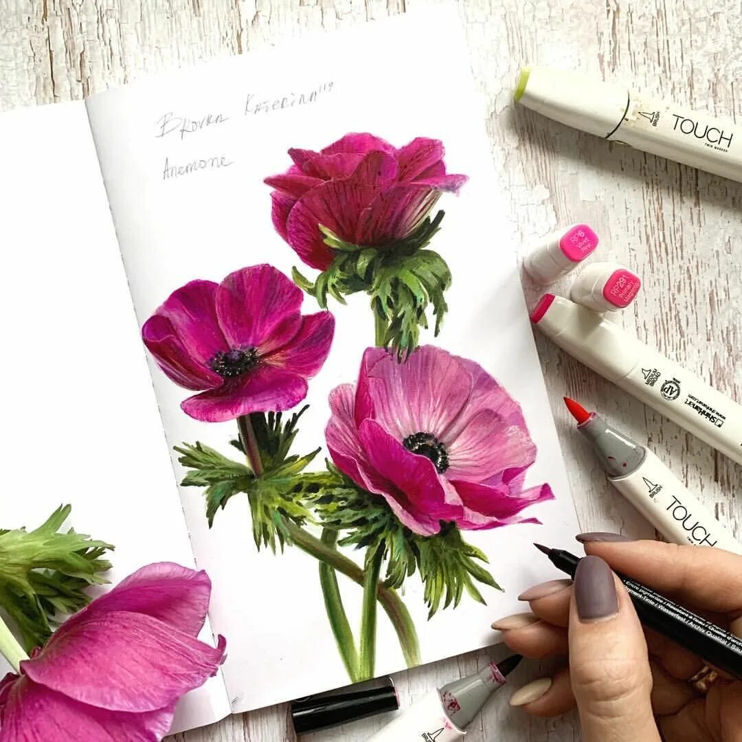 Скетчинг акварель магнолия. Маркеры для скетчинг. Ботанический скетчинг като иванникова. Ирисы маркерами. Ирисы скетчинг.