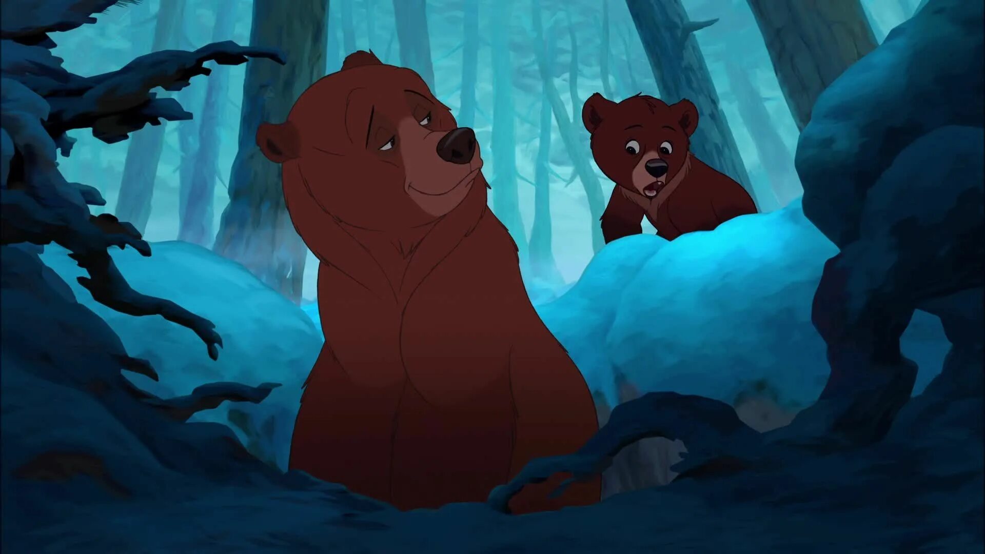 Дисней про медведей. Братец Медвежонок Кенай. Братец Медвежонок Дисней. Братец Медвежонок 2 Кенай.
